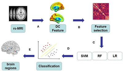 Classification of severe obstructive sleep apnea with cognitive impairment using degree centrality: A machine learning analysis